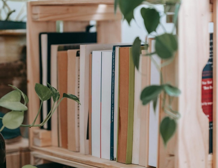 Textbooks on a shelf